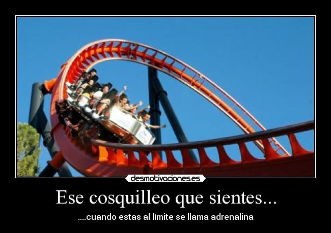 carteles desmotivaciones