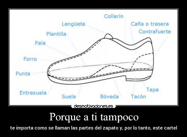 Porque a ti tampoco -