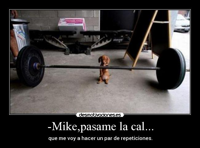 -Mike,pasame la cal... - que me voy a hacer un par de repeticiones.