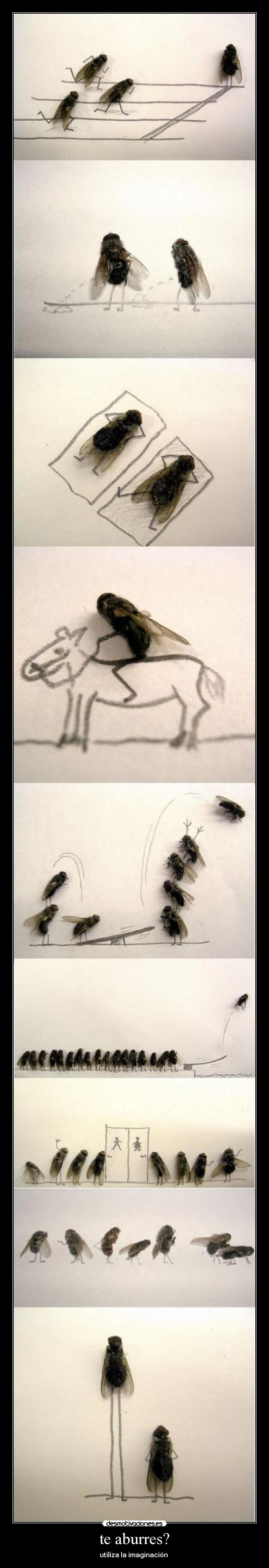 te aburres? -