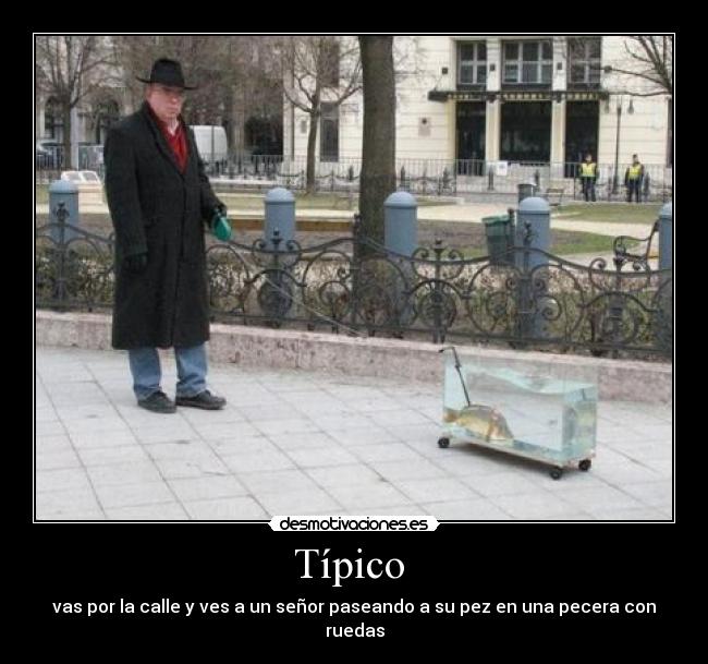 Típico  - vas por la calle y ves a un señor paseando a su pez en una pecera con ruedas