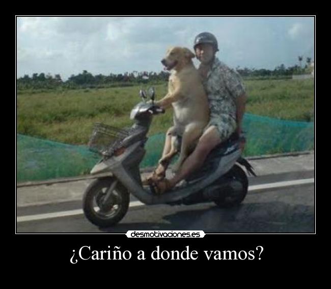 ¿Cariño a donde vamos? -