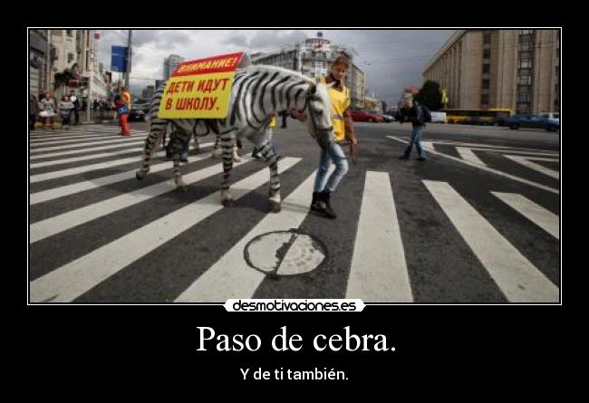 Paso de cebra. - 