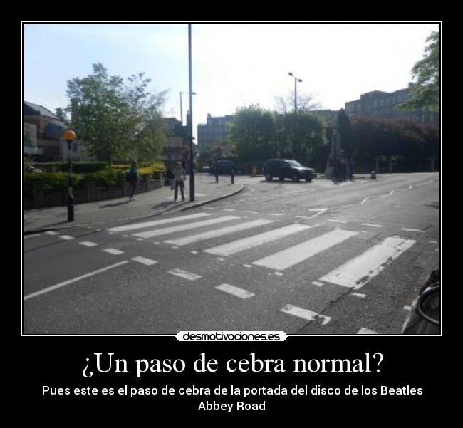 ¿Un paso de cebra normal? - 