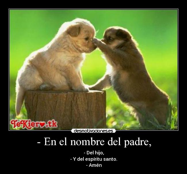 - En el nombre del padre, -