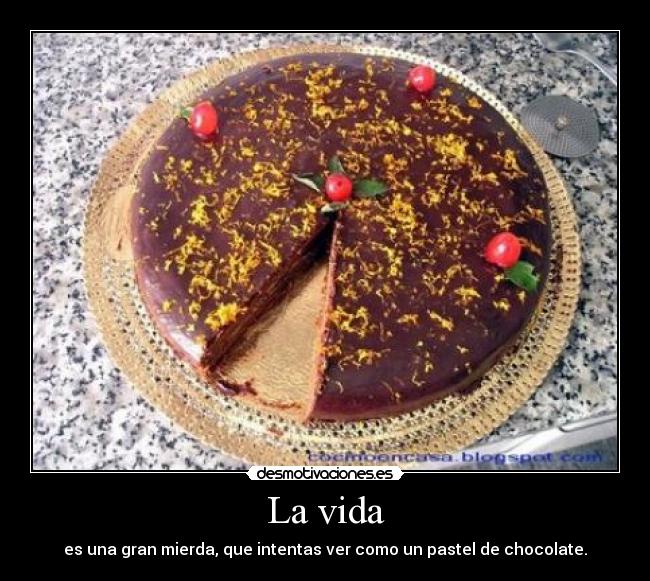 carteles vida vida desmotivaciones