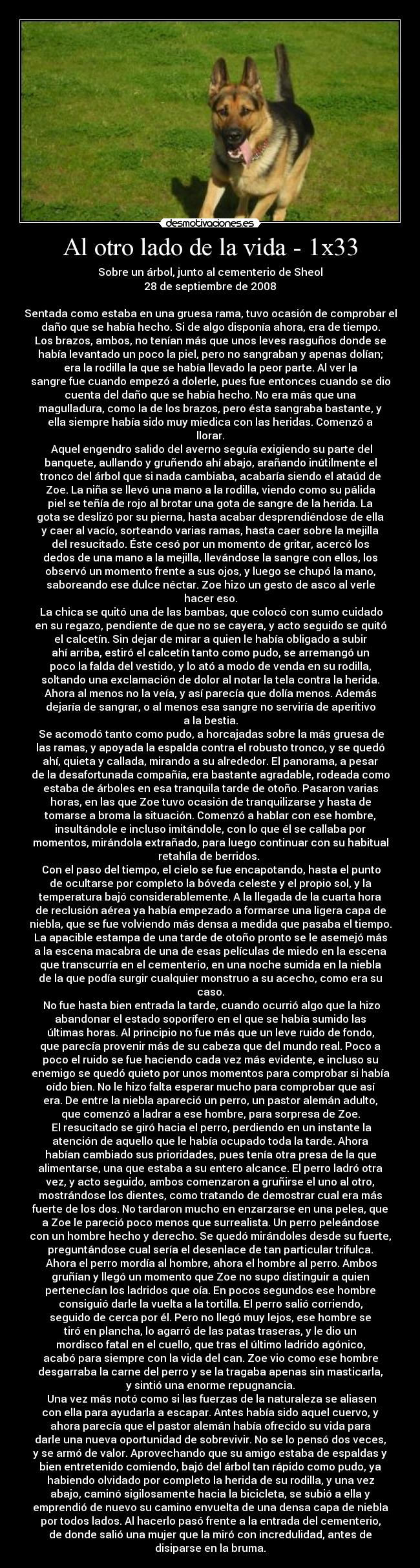 carteles vida otro lado vida desmotivaciones