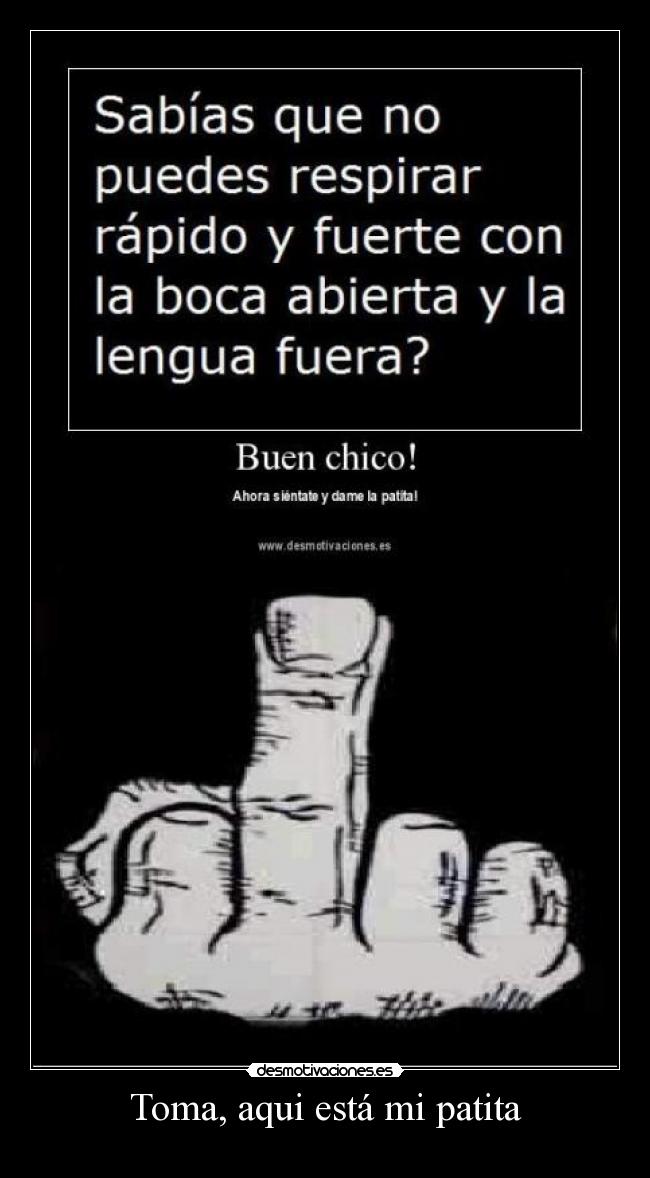 Toma, aqui está mi patita - 