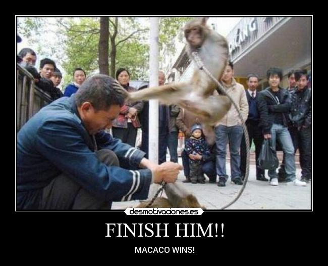 FINISH HIM!! - MACACO WINS!