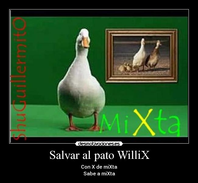 Salvar al pato WilliX - Con X de miXta
Sabe a miXta