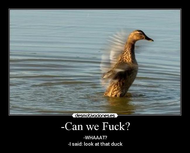 -Can we Fuck? - 