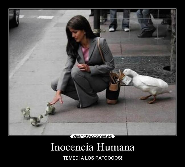 Inocencia Humana -