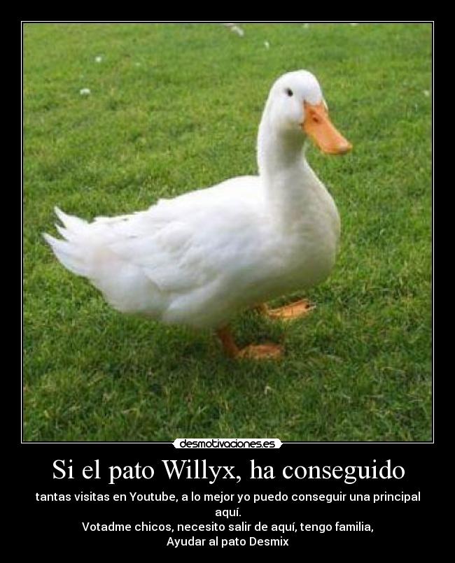 Si el pato Willyx, ha conseguido - tantas visitas en Youtube, a lo mejor yo puedo conseguir una principal aquí.
Votadme chicos, necesito salir de aquí, tengo familia,
Ayudar al pato Desmix