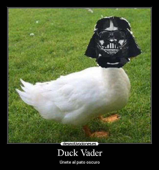 Duck Vader - Únete al pato oscuro
