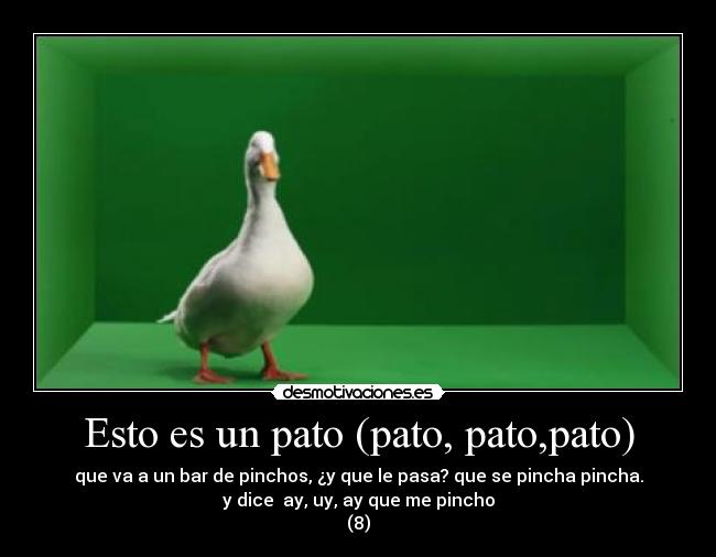 Esto es un pato (pato, pato,pato) - que va a un bar de pinchos, ¿y que le pasa? que se pincha pincha.
y dice ay, uy, ay que me pincho
(8)