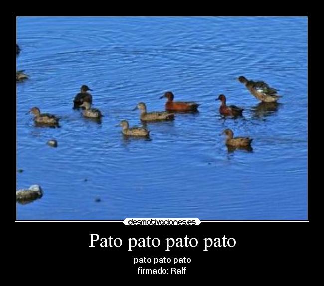 Pato pato pato pato - pato pato pato
firmado: Ralf