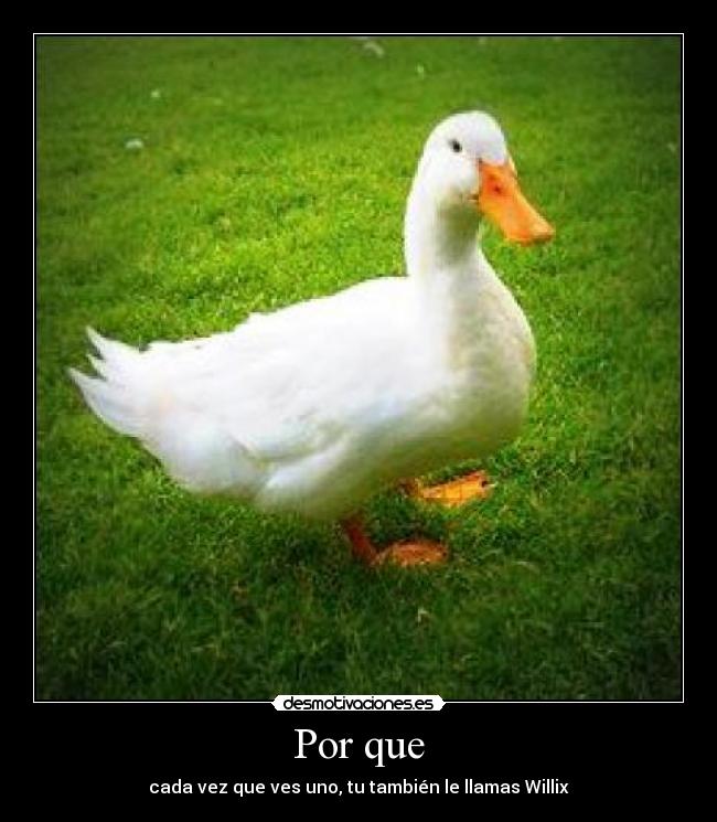 Por que - cada vez que ves uno, tu también le llamas Willix