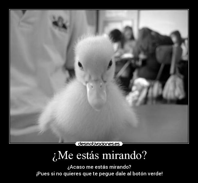 ¿Me estás mirando? - 