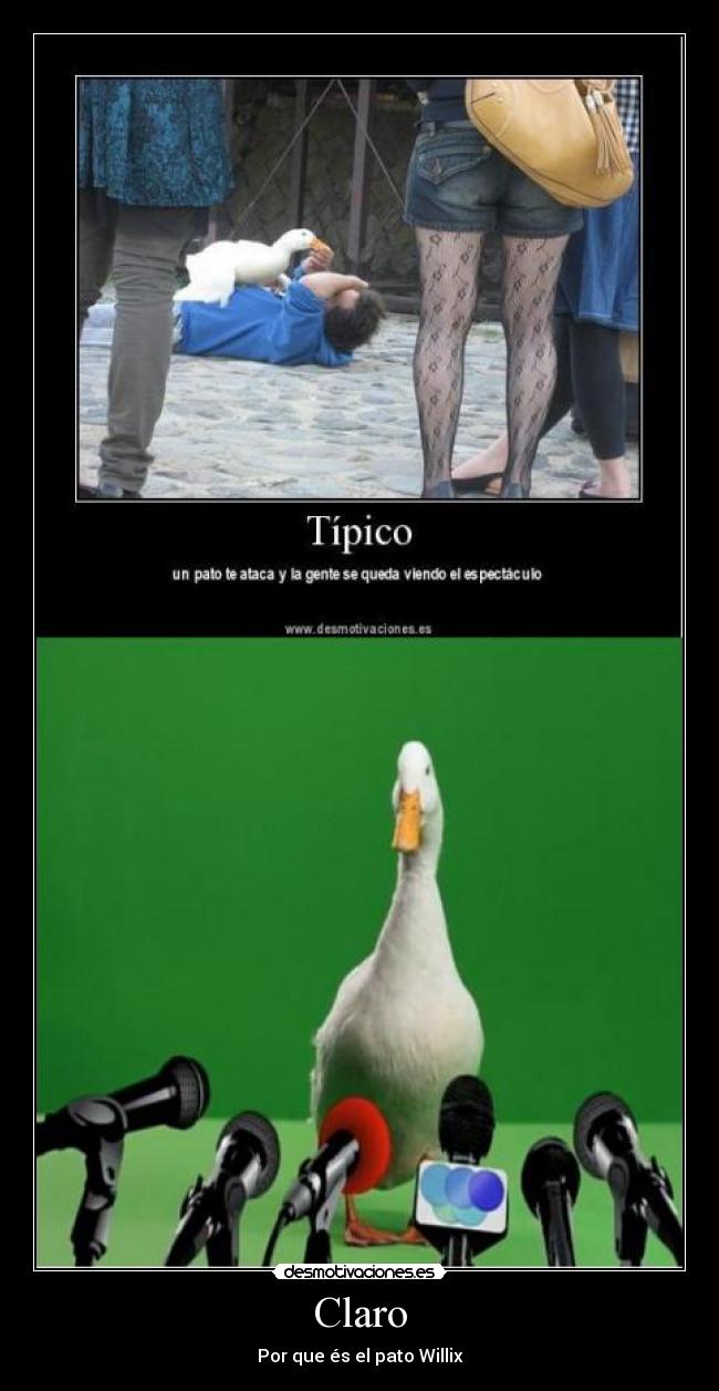 carteles con mitxta desmotivaciones