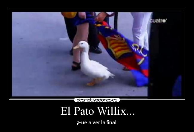 El Pato Willix... - 