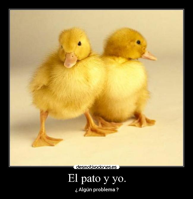 carteles walt_k desmotivaciones