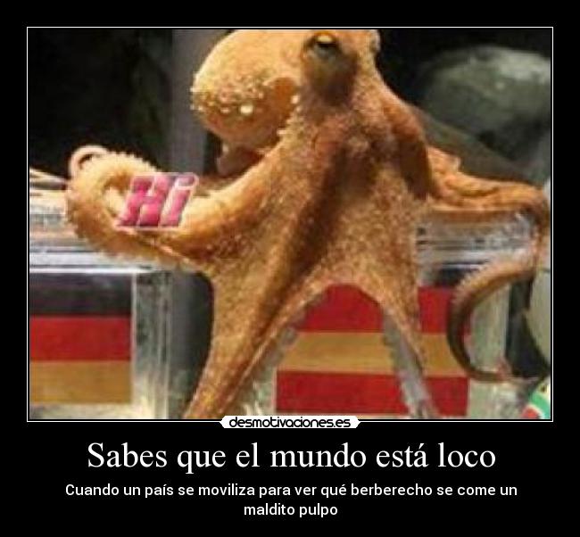Sabes que el mundo está loco - Cuando un país se moviliza para ver qué berberecho se come un maldito pulpo