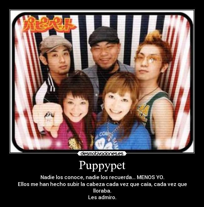 Puppypet - Nadie los conoce, nadie los recuerda... MENOS YO.
Ellos me han hecho subir la cabeza cada vez que caía, cada vez que lloraba.
Les admiro.