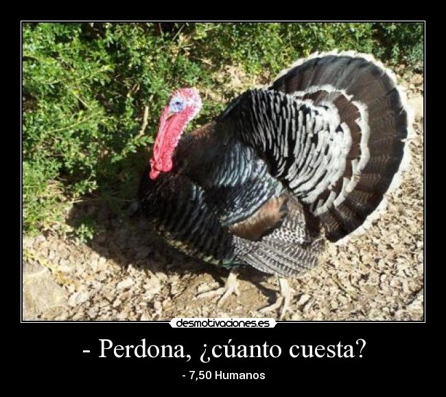 - Perdona, ¿cúanto cuesta? - - 7,50 Humanos