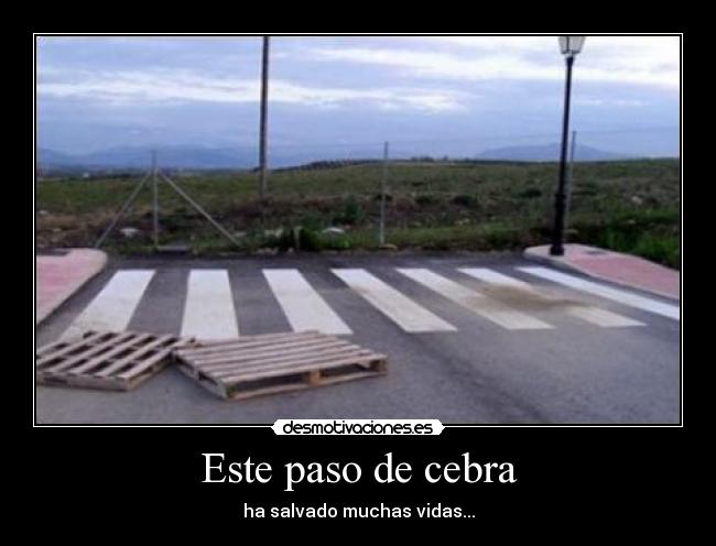 Este paso de cebra - ha salvado muchas vidas...