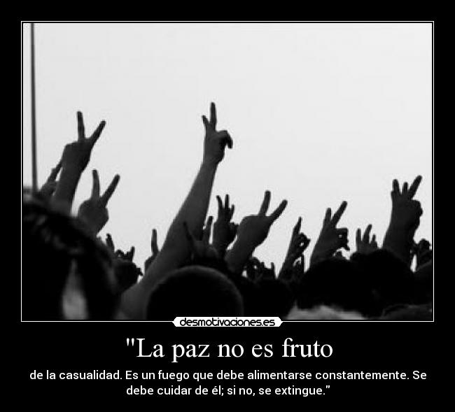 La paz no es fruto -