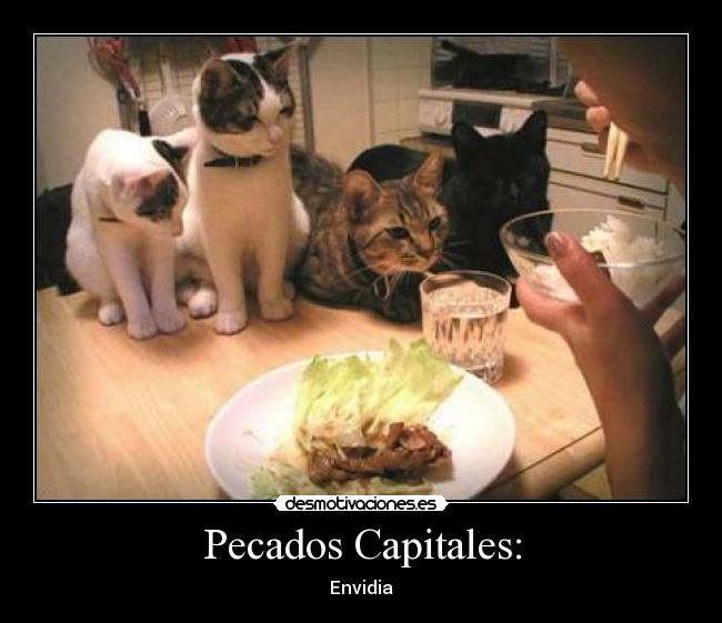 Pecados Capitales: -
