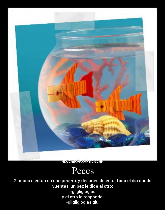 Peces - 