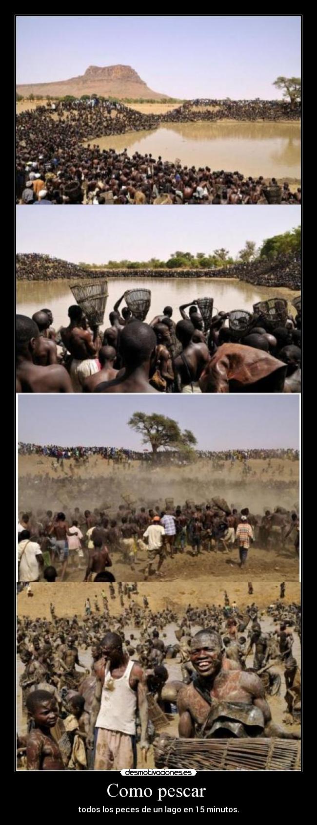 carteles pescar peces lago desmotivaciones