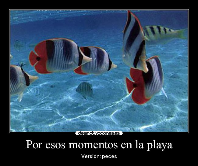 Por esos momentos en la playa - Version: peces