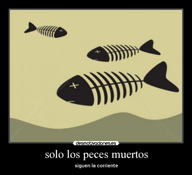 solo los peces muertos -
