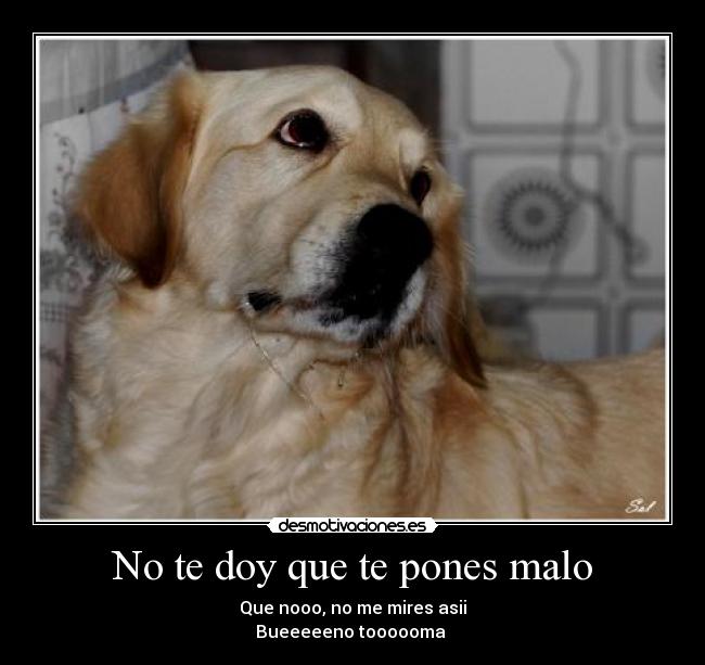 No te doy que te pones malo - 