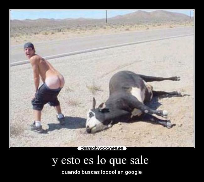 y esto es lo que sale - cuando buscas looool en google