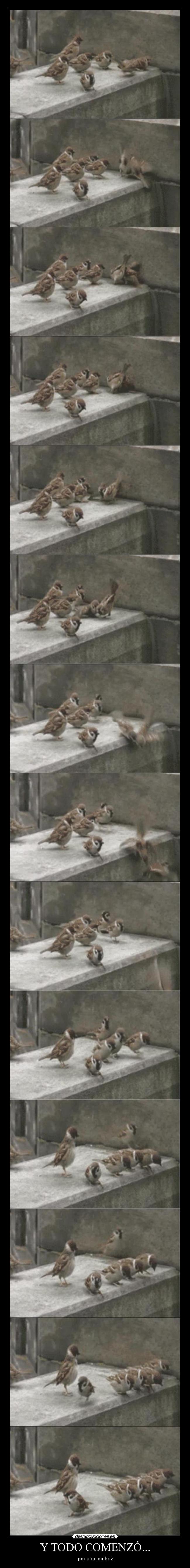 Y TODO COMENZÓ... -