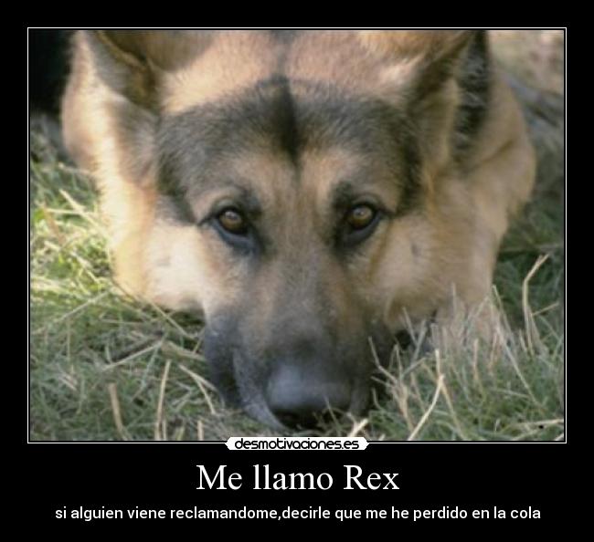 Me llamo Rex -