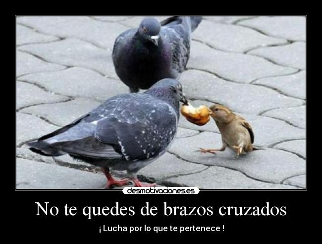 No te quedes de brazos cruzados -