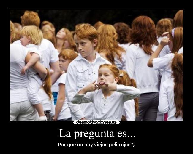 La pregunta es... - Por qué no hay viejos pelirrojos?¿