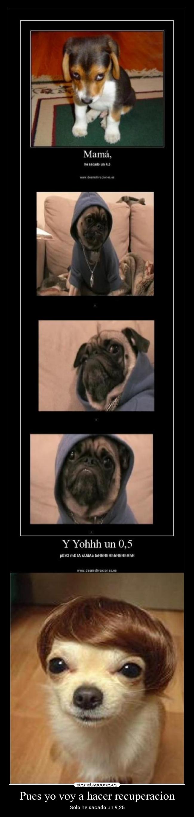 Pues yo voy a hacer recuperacion - Solo he sacado un 9,25