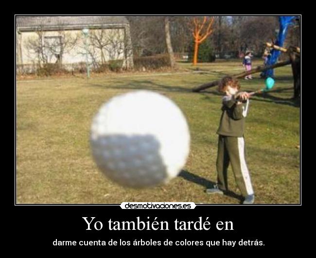 Yo también tardé en - darme cuenta de los árboles de colores que hay detrás.