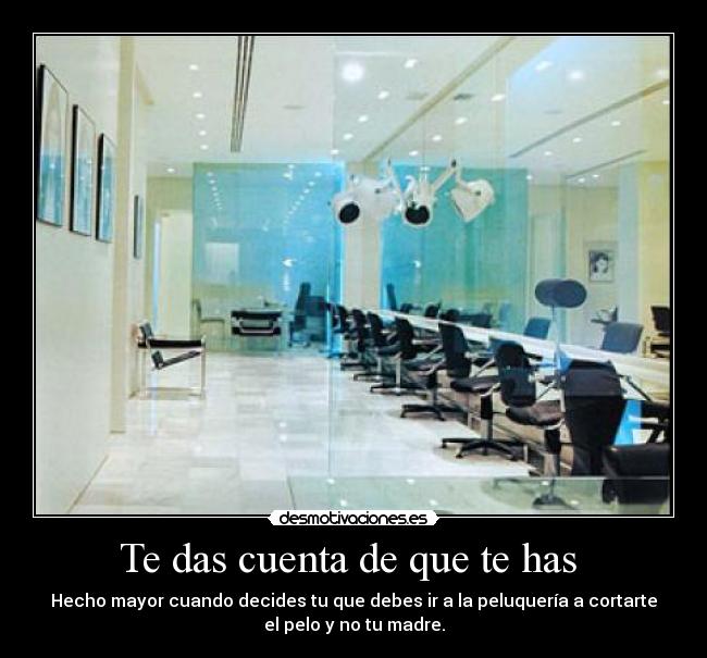 carteles paulitaforeveralone desmotivaciones