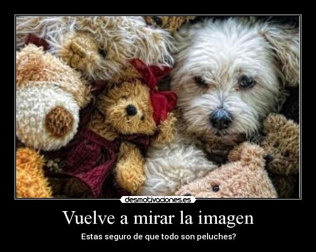 Vuelve a mirar la imagen -