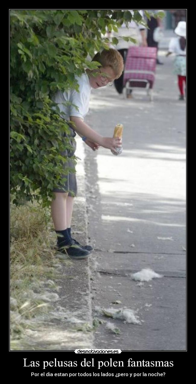 carteles lhu desmotivaciones