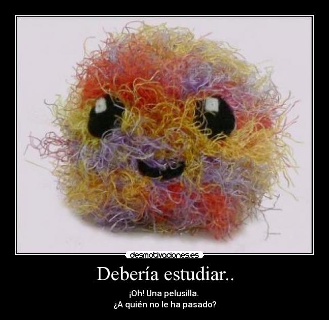 Debería estudiar.. -