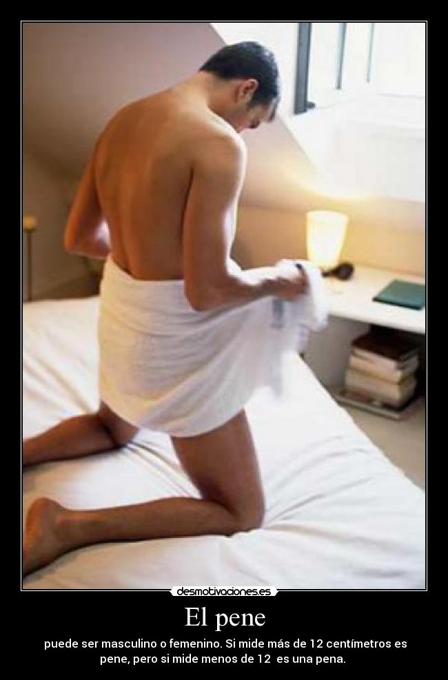 El pene - 