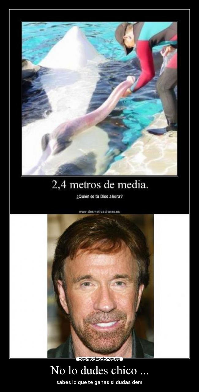 No lo dudes chico ... -