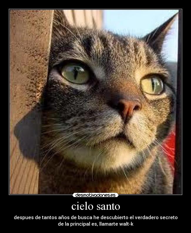 cielo santo - despues de tantos años de busca he descubierto el verdadero secreto
de la principal es, llamarte walt-k